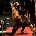 the_hybrid_human profile picture