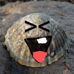 the_laughing_limpet profile picture