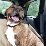 thelifeofzeuser profile picture