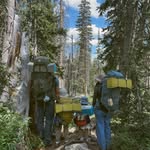 thelittleadventurers profile picture