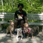 thelittlebullies profile picture