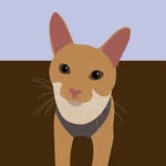 the_little_rascalz profile picture