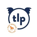 thelovepit profile picture