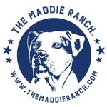 themaddieranch profile picture