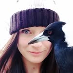 themagpiewhisperer profile picture