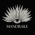 themandrakehotel profile picture