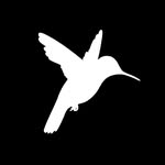 themexicocityedit profile picture