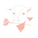 themilkandrose profile picture
