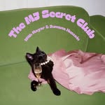 themjsecretclub profile picture