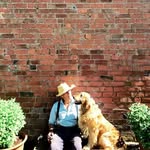 themontydon profile picture