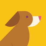 themostamazingdog profile picture