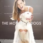 themotherofdogs profile picture