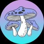 themushroomgoddess profile picture