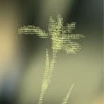 the__narrative__nest profile picture