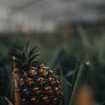 the_nassau_agency profile picture