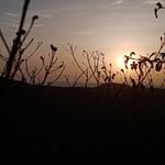thenatureslove4 profile picture