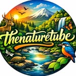 thenaturetube profile picture