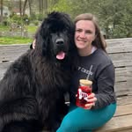 thenewfcrew profile picture