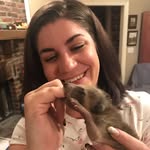 thenolamenagerie profile picture