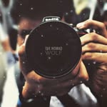 the_nomad_photographer_ profile picture