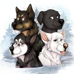 thenorthernpack profile picture