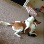 theodoreandpenelope profile picture