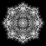 theonenesssolution profile picture