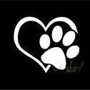 the_paws_squad_2015 profile picture