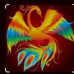 the_phoenix_pack_ profile picture