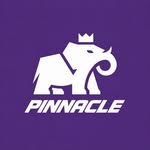 thepinnacleent profile picture