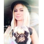 thepugqueen profile picture