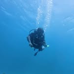 theranmanstories profile picture