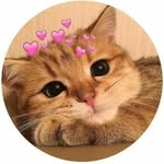 thereelthoughts_ profile picture