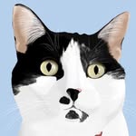 theresidentfurkids profile picture