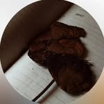theritman.mov profile picture