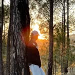thesafaryanshuu profile picture