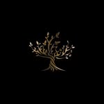 thesainsociety profile picture