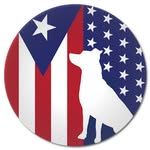 thesatoproject profile picture