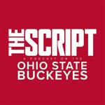thescriptosu profile picture