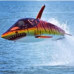 theseabreacher profile picture