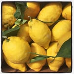 thesedeliciousthings profile picture
