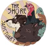 theshoresanctuary profile picture
