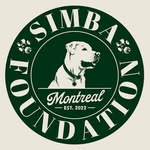 thesimbafoundation profile picture