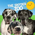 thesnyderzoo profile picture