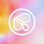thesplashchicago profile picture