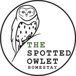 thespottedowlet profile picture