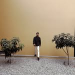 thestoryscreater profile picture