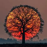thestreetstoriez profile picture