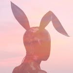 thesubliminalrabbit profile picture