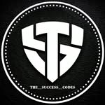 the__success__codes profile picture